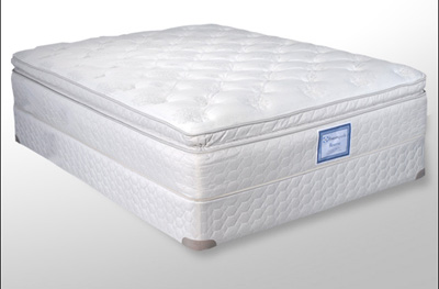 Sealy Leather Furniture on Florida Mattress And Furniture   Sealy
